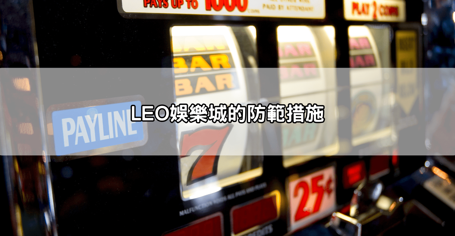 LEO娛樂城的防範措施